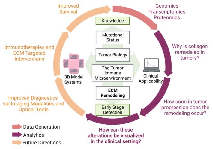 https://cdn.ncbi.nlm.nih.gov/pmc/blobs/314b/11048585/d895d555b45b/cancers-16-01560-g005.jpg