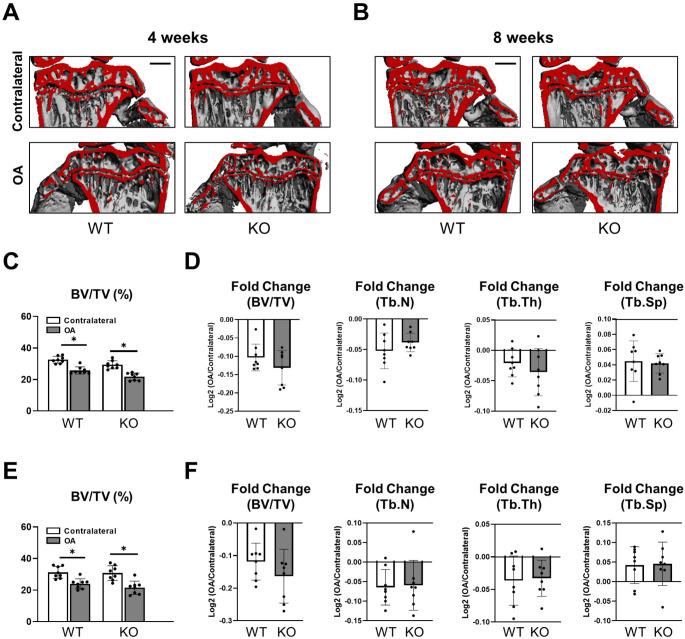 https://cdn.ncbi.nlm.nih.gov/pmc/blobs/314b/11885341/0abf3a88d96e/11_2025_2013_Fig3_HTML.jpg