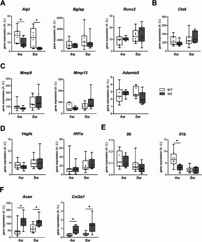 https://cdn.ncbi.nlm.nih.gov/pmc/blobs/314b/11885341/0b307855393e/11_2025_2013_Fig7_HTML.jpg