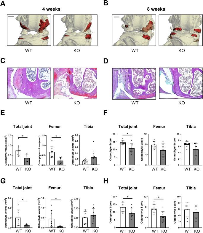 https://cdn.ncbi.nlm.nih.gov/pmc/blobs/314b/11885341/9d7795587143/11_2025_2013_Fig5_HTML.jpg
