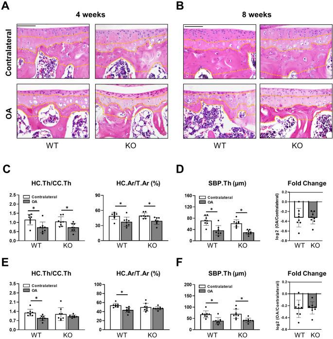 https://cdn.ncbi.nlm.nih.gov/pmc/blobs/314b/11885341/a961317331dd/11_2025_2013_Fig2_HTML.jpg