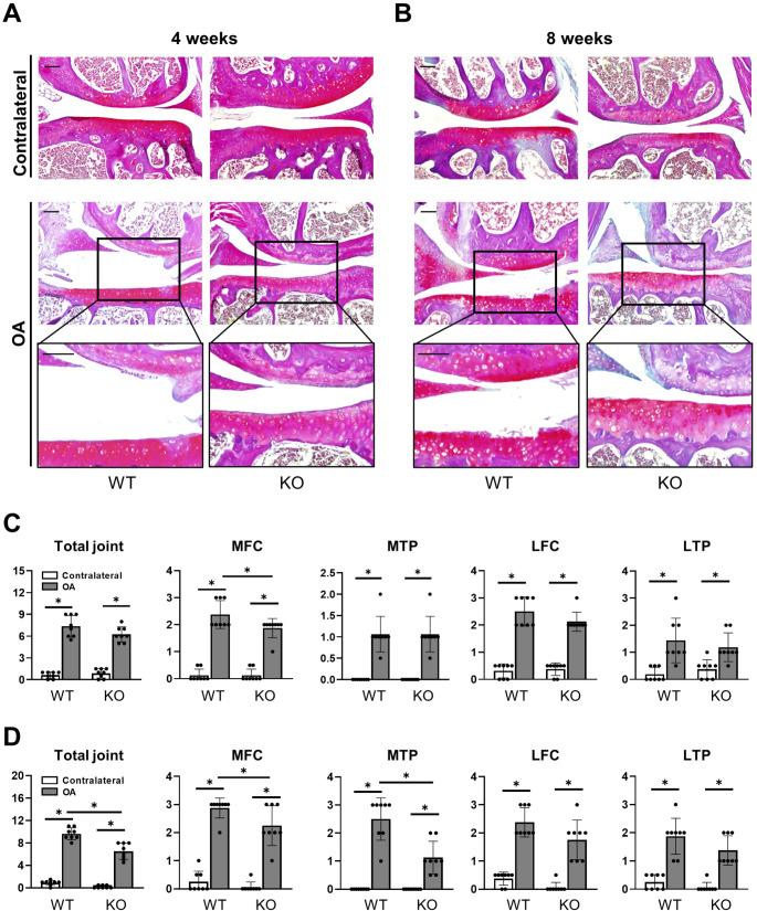 https://cdn.ncbi.nlm.nih.gov/pmc/blobs/314b/11885341/c9109b8822de/11_2025_2013_Fig1_HTML.jpg