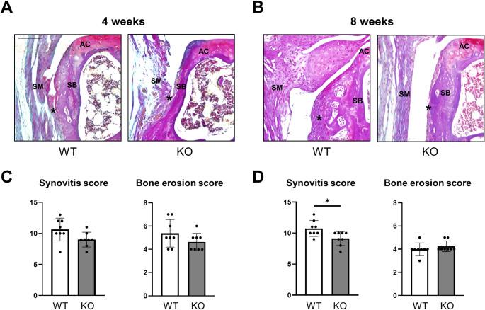 https://cdn.ncbi.nlm.nih.gov/pmc/blobs/314b/11885341/cb6a632668ac/11_2025_2013_Fig6_HTML.jpg
