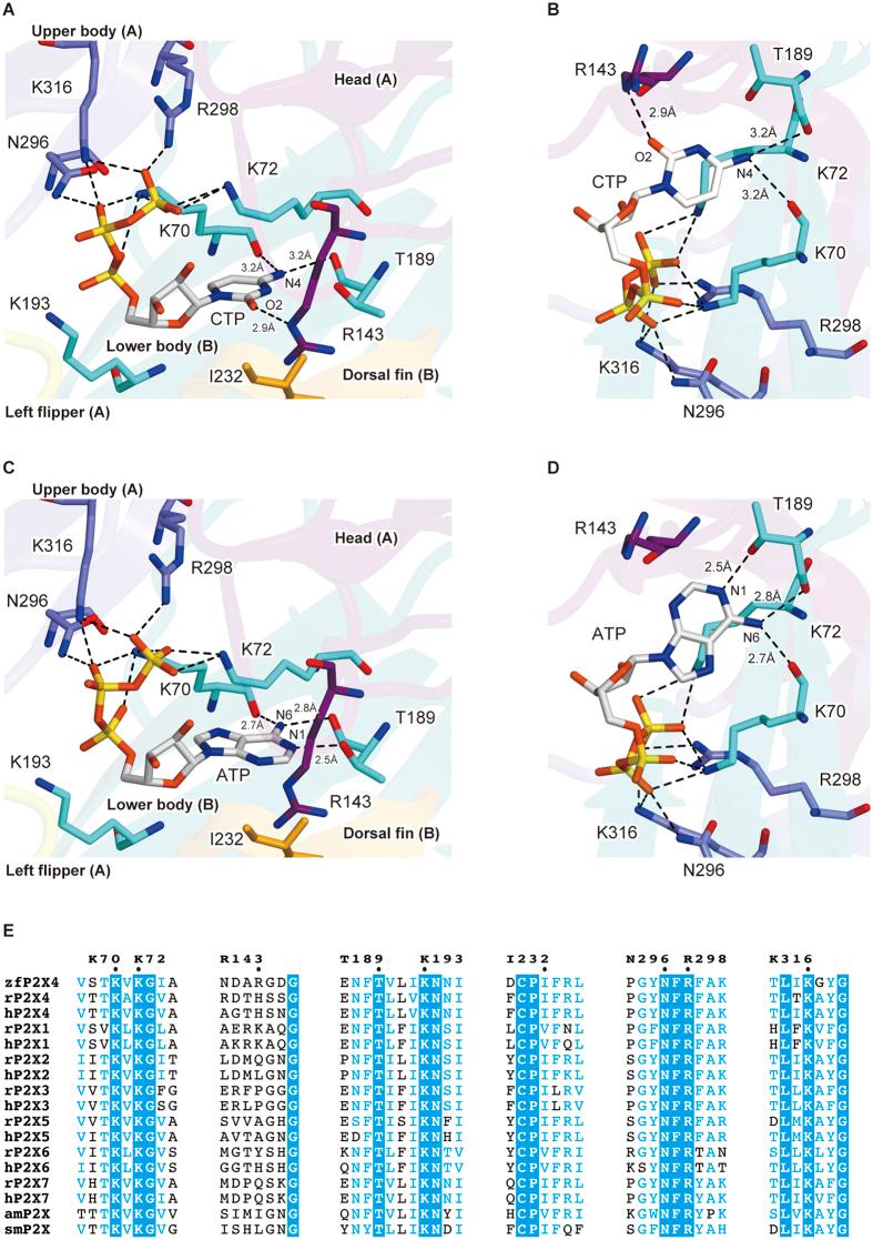 https://cdn.ncbi.nlm.nih.gov/pmc/blobs/314c/5362899/f6da6a4b9180/srep45208-f3.jpg