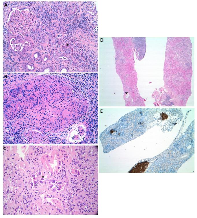 https://cdn.ncbi.nlm.nih.gov/pmc/blobs/314c/7956739/b5a5f7280363/ijms-22-02326-g001.jpg