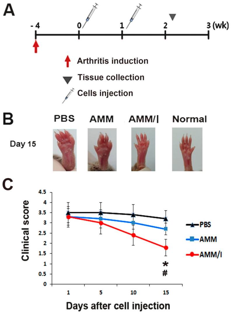 https://cdn.ncbi.nlm.nih.gov/pmc/blobs/314d/11050354/44510e396fd1/ijms-25-04442-g003.jpg