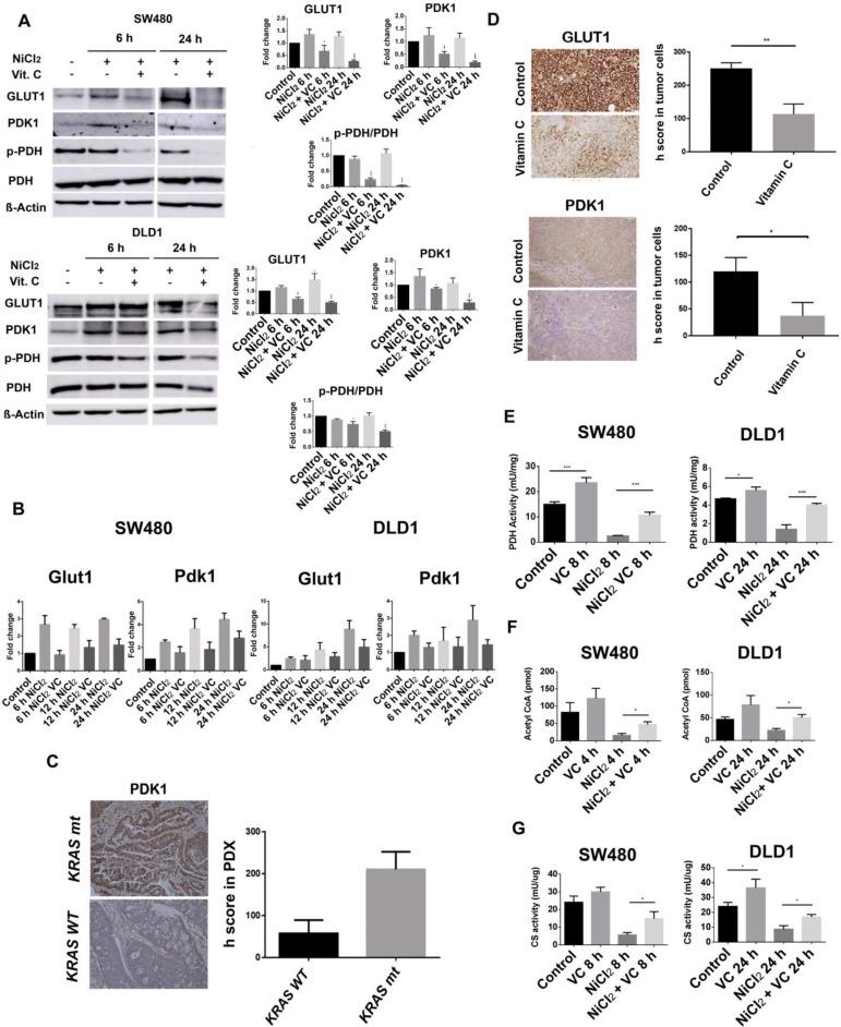 https://cdn.ncbi.nlm.nih.gov/pmc/blobs/3152/7914362/3a27dbe70373/thnov11p3595g003.jpg