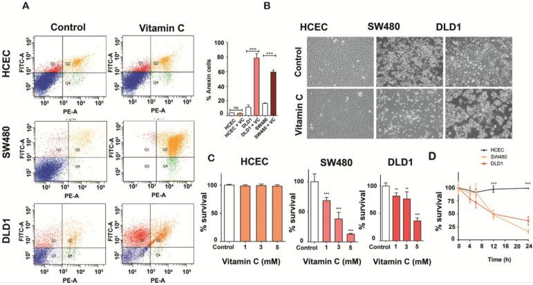 https://cdn.ncbi.nlm.nih.gov/pmc/blobs/3152/7914362/50c5a624b07f/thnov11p3595g001.jpg