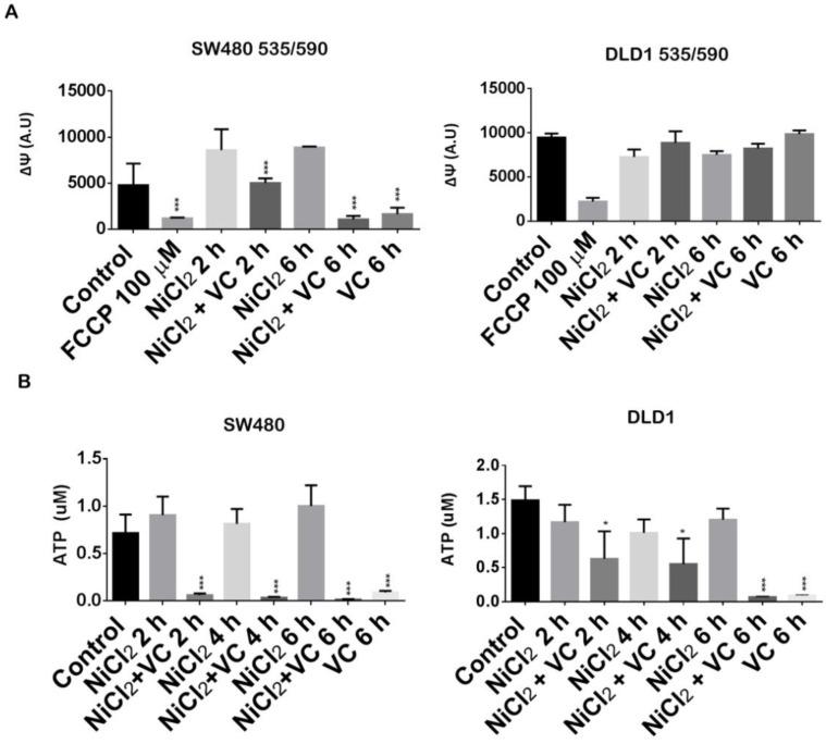 https://cdn.ncbi.nlm.nih.gov/pmc/blobs/3152/7914362/b29faf6e1a23/thnov11p3595g004.jpg