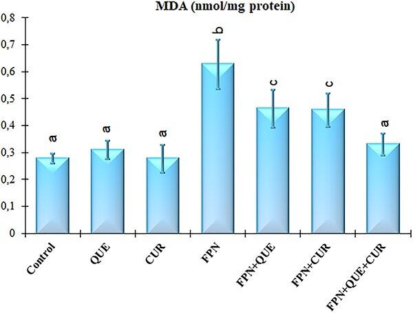 https://cdn.ncbi.nlm.nih.gov/pmc/blobs/3153/10311137/883e79c2f522/tfad034f3.jpg