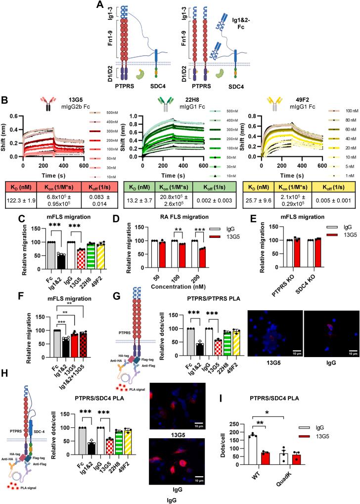 https://cdn.ncbi.nlm.nih.gov/pmc/blobs/3153/12363564/6cefd719cf46/gr1.jpg