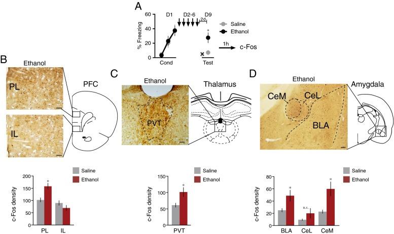 https://cdn.ncbi.nlm.nih.gov/pmc/blobs/3155/4561071/8445bd168ea4/213_2015_4016_Fig3_HTML.jpg