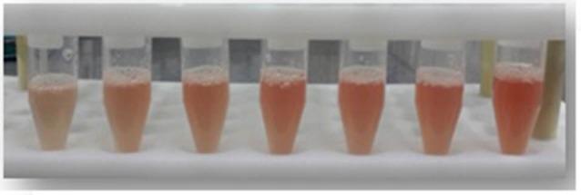 https://cdn.ncbi.nlm.nih.gov/pmc/blobs/3155/5915706/12381d02a203/bi-8-31-g003.jpg