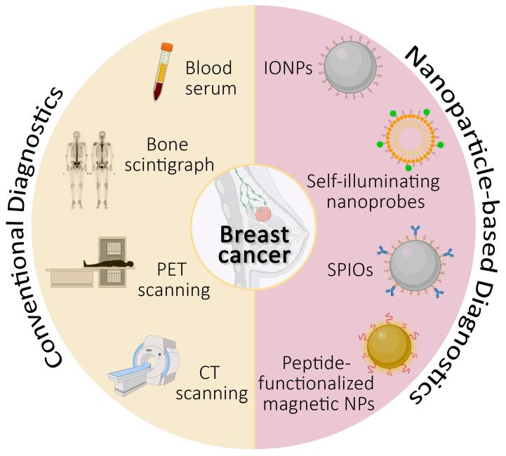 https://cdn.ncbi.nlm.nih.gov/pmc/blobs/3157/11278299/b5ad8b2452f0/jpm-14-00723-g001.jpg
