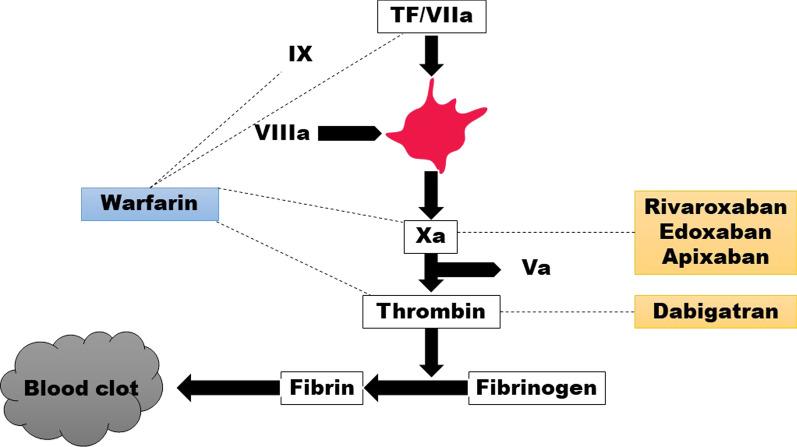 https://cdn.ncbi.nlm.nih.gov/pmc/blobs/3157/8960500/96a2525cdbf8/43044_2022_259_Fig1_HTML.jpg