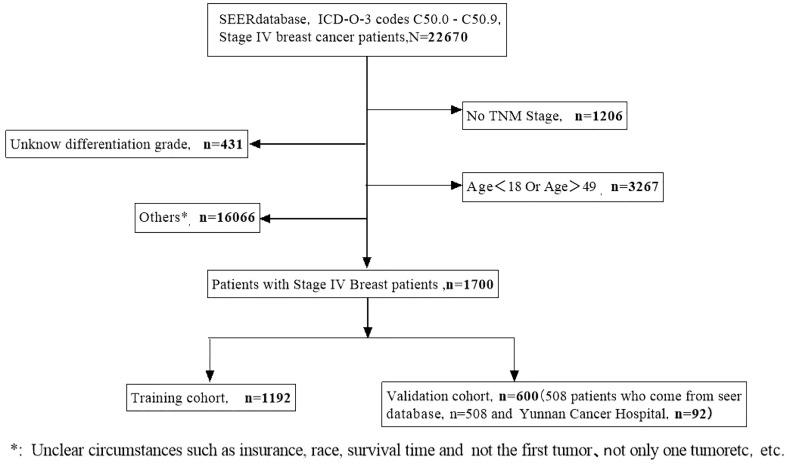 https://cdn.ncbi.nlm.nih.gov/pmc/blobs/3157/9732809/212704963e01/fonc-12-999873-g001.jpg