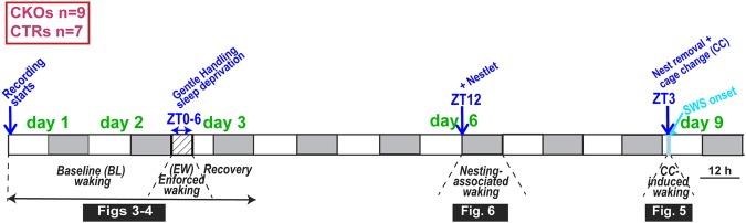 https://cdn.ncbi.nlm.nih.gov/pmc/blobs/3158/6195537/0c72dd896d06/41598_2018_33069_Fig2_HTML.jpg