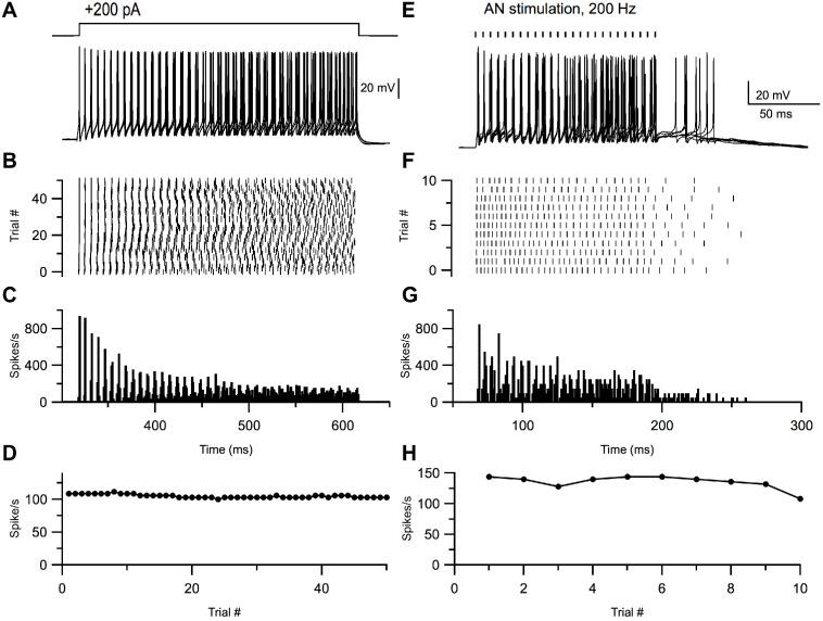 https://cdn.ncbi.nlm.nih.gov/pmc/blobs/3158/7744103/bc859267197d/elife-54350-fig7.jpg