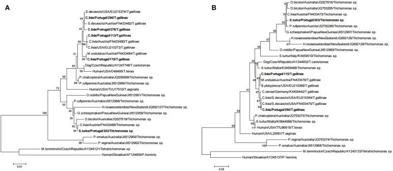 https://cdn.ncbi.nlm.nih.gov/pmc/blobs/315d/6549518/9452d631a3a7/fvets-06-00148-g0004.jpg