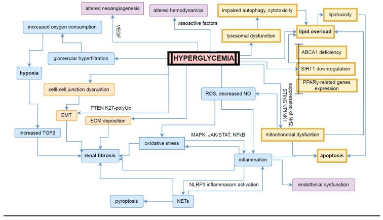 https://cdn.ncbi.nlm.nih.gov/pmc/blobs/315e/11432709/67ff0b692e1d/ijms-25-10222-g002.jpg
