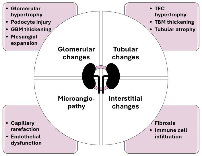 https://cdn.ncbi.nlm.nih.gov/pmc/blobs/315e/11432709/ec091309ebdf/ijms-25-10222-g001.jpg