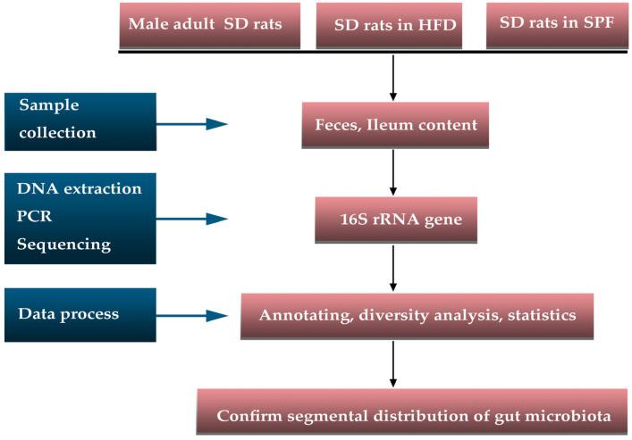 https://cdn.ncbi.nlm.nih.gov/pmc/blobs/315e/11434385/4a4dc5197fed/microorganisms-12-01764-g001.jpg