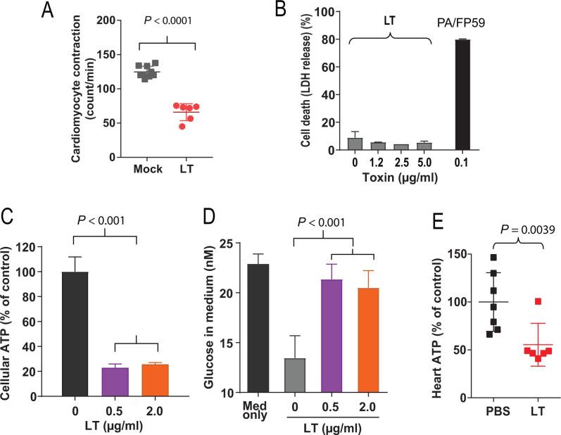 https://cdn.ncbi.nlm.nih.gov/pmc/blobs/3161/11633152/e701a6ffd251/mbio.02160-24.f002.jpg