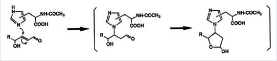 https://cdn.ncbi.nlm.nih.gov/pmc/blobs/3161/5669098/5b16a72b01dd/PM-13-561-g002.jpg