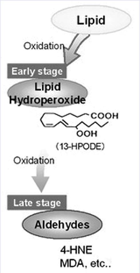 https://cdn.ncbi.nlm.nih.gov/pmc/blobs/3161/5669098/bb28fb077cf9/PM-13-561-g009.jpg