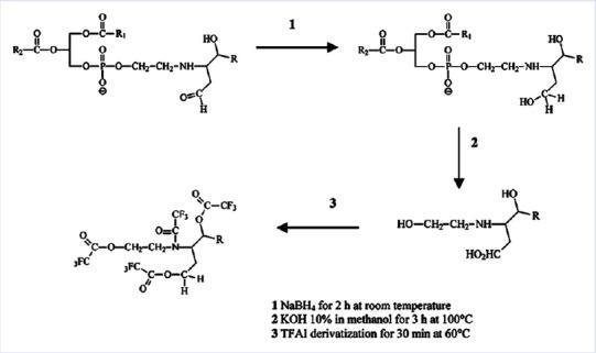 https://cdn.ncbi.nlm.nih.gov/pmc/blobs/3161/5669098/e1559a9fa9cf/PM-13-561-g003.jpg