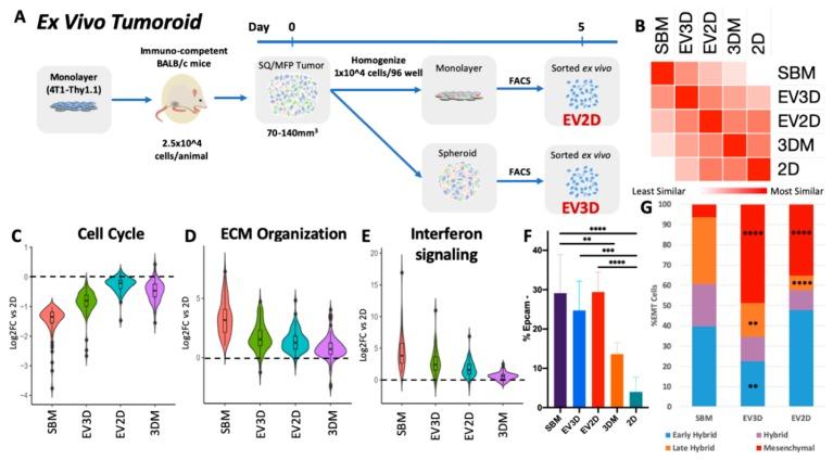 https://cdn.ncbi.nlm.nih.gov/pmc/blobs/3161/7140030/0a427633430a/cancers-12-00690-g007.jpg