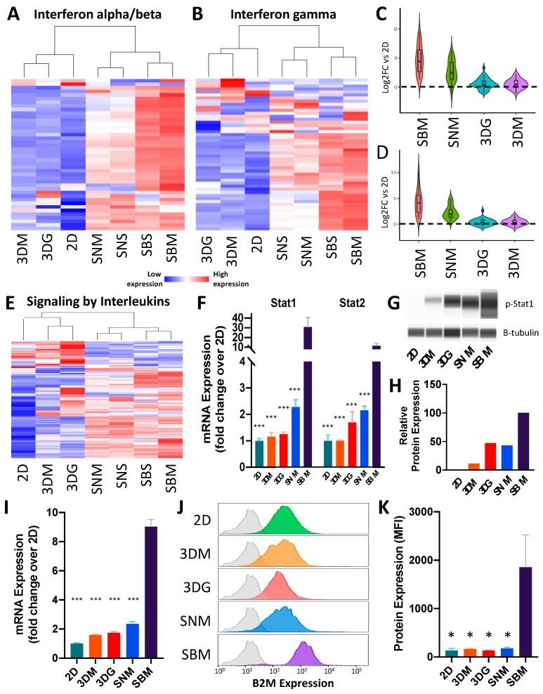 https://cdn.ncbi.nlm.nih.gov/pmc/blobs/3161/7140030/1e4ea440a8d9/cancers-12-00690-g005.jpg