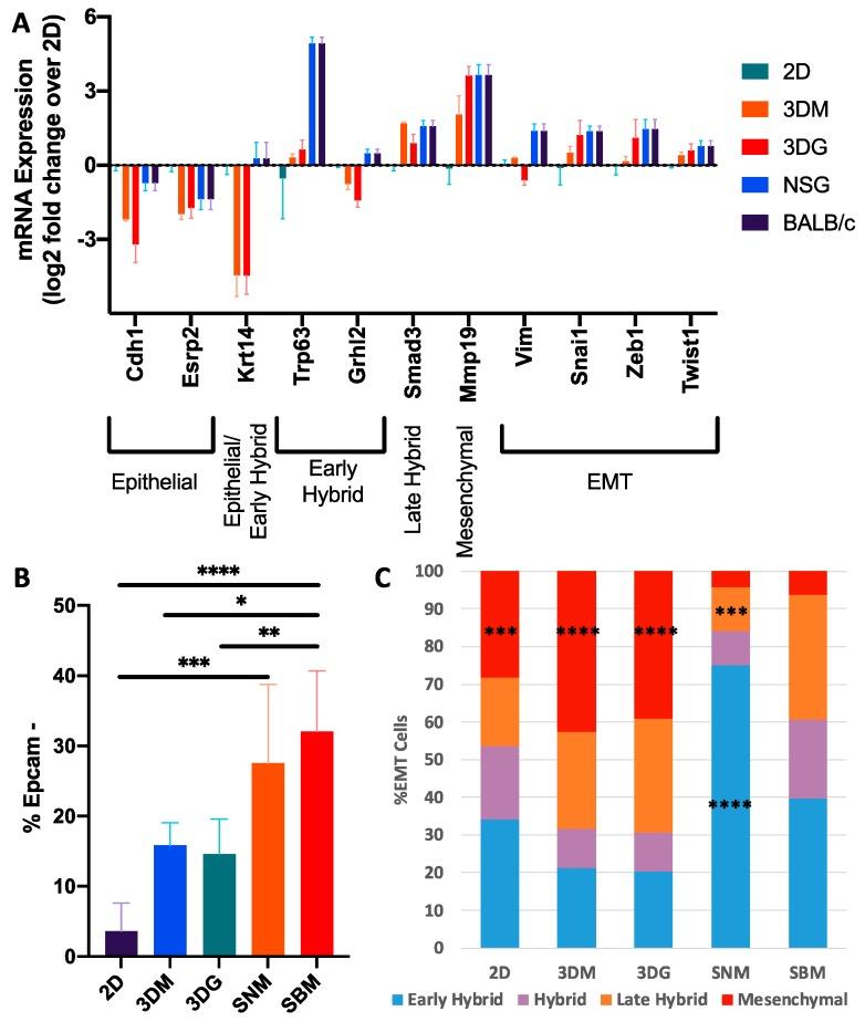 https://cdn.ncbi.nlm.nih.gov/pmc/blobs/3161/7140030/2f3d9516e1ac/cancers-12-00690-g006.jpg