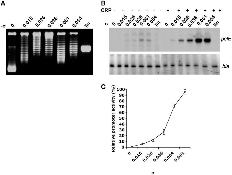 https://cdn.ncbi.nlm.nih.gov/pmc/blobs/3162/3378864/c3c80e636426/gks014f5.jpg