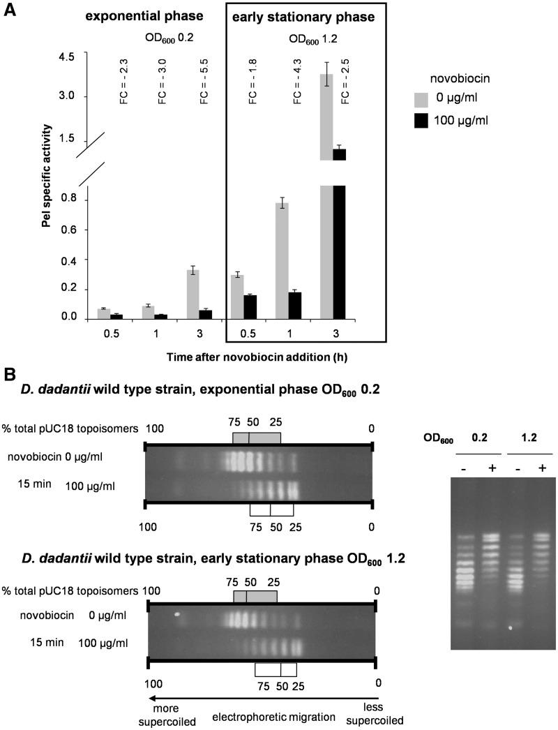 https://cdn.ncbi.nlm.nih.gov/pmc/blobs/3162/3378864/f139578879f0/gks014f1.jpg
