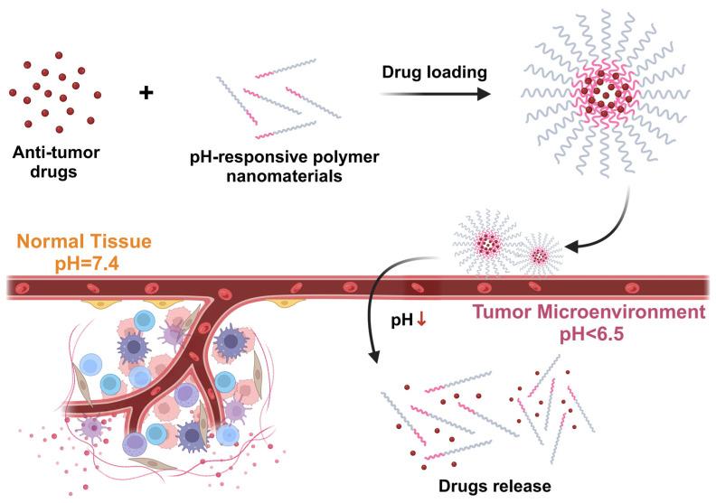 https://cdn.ncbi.nlm.nih.gov/pmc/blobs/3163/11728492/21ce9c7f4a63/pharmaceutics-16-01549-g006.jpg
