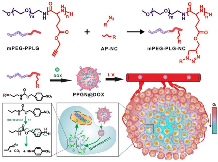 https://cdn.ncbi.nlm.nih.gov/pmc/blobs/3163/11728492/225f96c182ba/pharmaceutics-16-01549-g003.jpg
