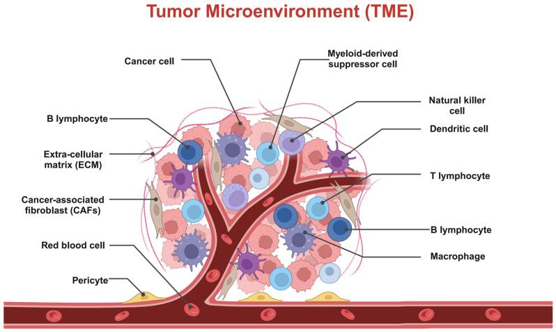 https://cdn.ncbi.nlm.nih.gov/pmc/blobs/3163/11728492/c14b92958462/pharmaceutics-16-01549-g001.jpg