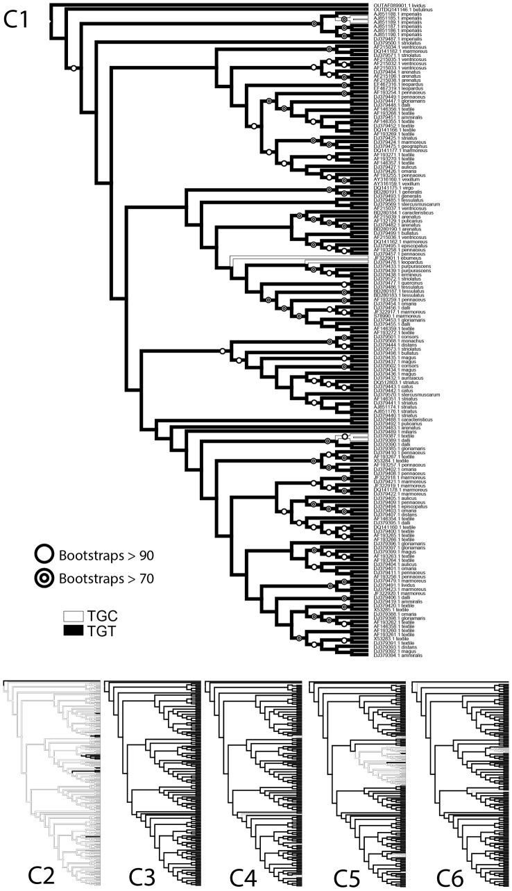 https://cdn.ncbi.nlm.nih.gov/pmc/blobs/3164/3823881/3cdc40b46f18/pone.0078456.g004.jpg