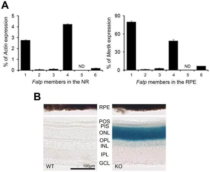 https://cdn.ncbi.nlm.nih.gov/pmc/blobs/3165/3500375/0f66b81428c6/pone.0050231.g001.jpg