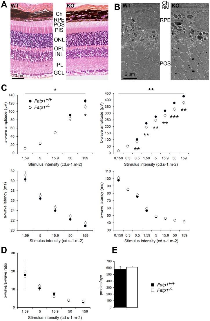 https://cdn.ncbi.nlm.nih.gov/pmc/blobs/3165/3500375/d3613f1fa077/pone.0050231.g003.jpg
