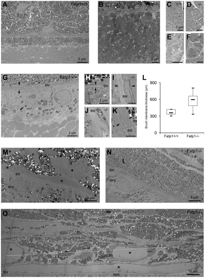 https://cdn.ncbi.nlm.nih.gov/pmc/blobs/3165/3500375/e7b834ae1911/pone.0050231.g007.jpg