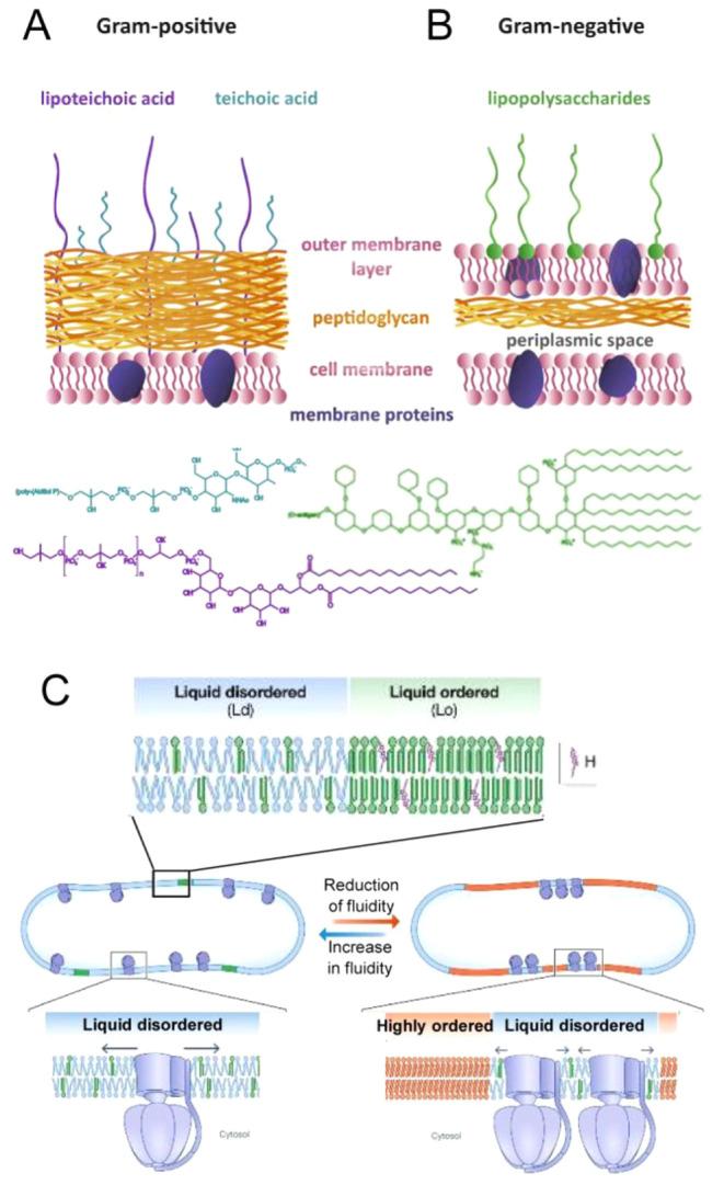 https://cdn.ncbi.nlm.nih.gov/pmc/blobs/3167/10906006/159cf13bf4b5/cr3c00622_0010.jpg