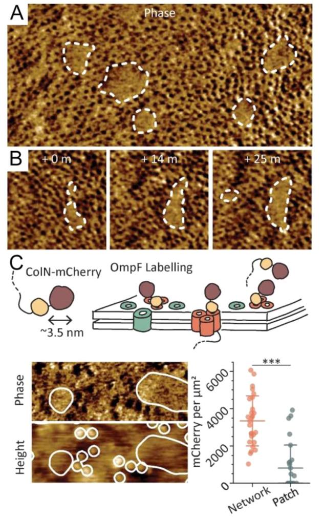 https://cdn.ncbi.nlm.nih.gov/pmc/blobs/3167/10906006/362c4c04911d/cr3c00622_0011.jpg