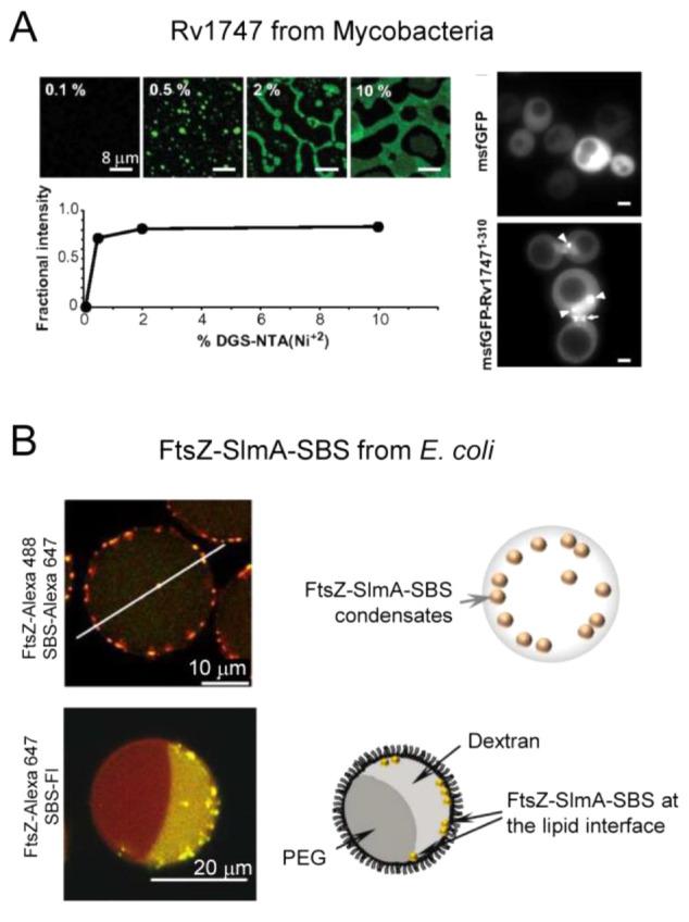 https://cdn.ncbi.nlm.nih.gov/pmc/blobs/3167/10906006/76cac54a9976/cr3c00622_0012.jpg