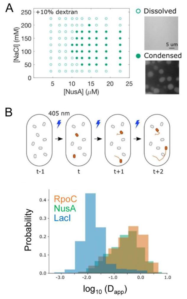 https://cdn.ncbi.nlm.nih.gov/pmc/blobs/3167/10906006/770454a49fe6/cr3c00622_0009.jpg