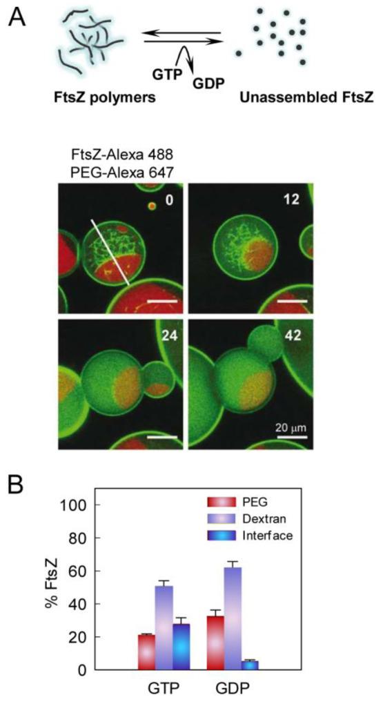 https://cdn.ncbi.nlm.nih.gov/pmc/blobs/3167/10906006/7e6c4decd9dd/cr3c00622_0020.jpg