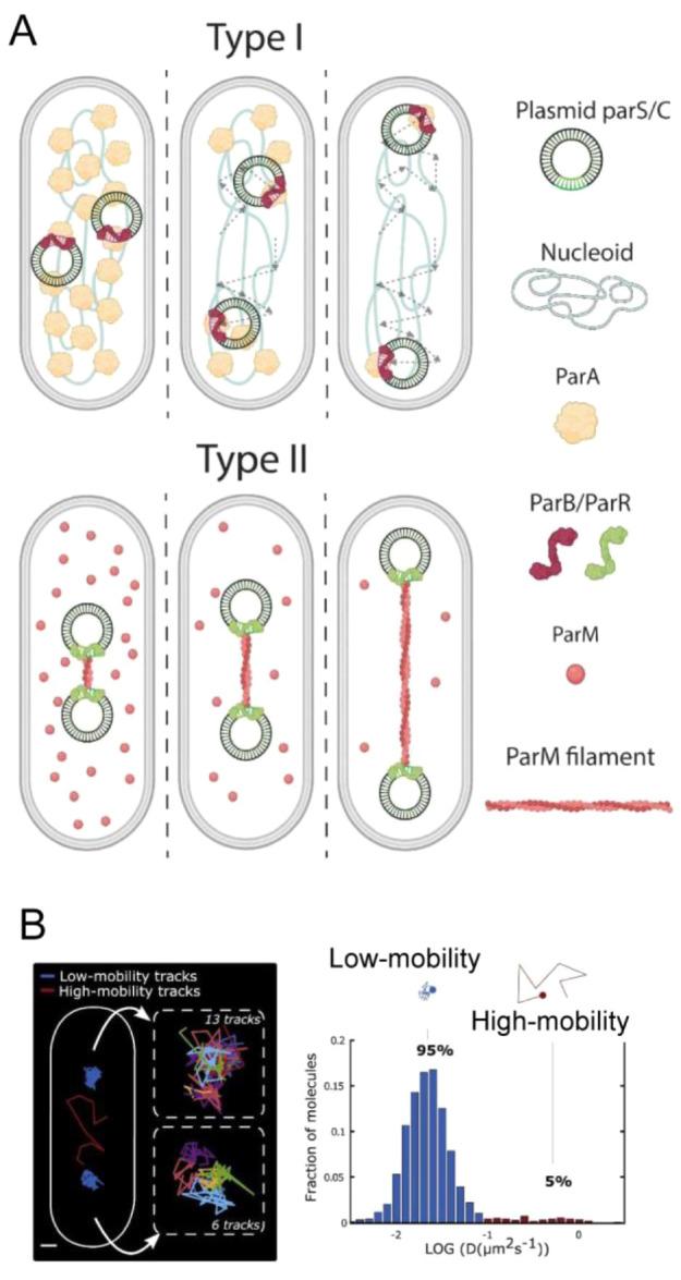 https://cdn.ncbi.nlm.nih.gov/pmc/blobs/3167/10906006/9bbcd1400509/cr3c00622_0014.jpg