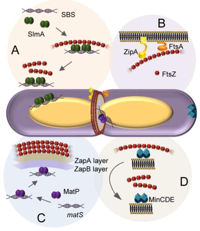https://cdn.ncbi.nlm.nih.gov/pmc/blobs/3167/10906006/acf85080fdad/cr3c00622_0015.jpg