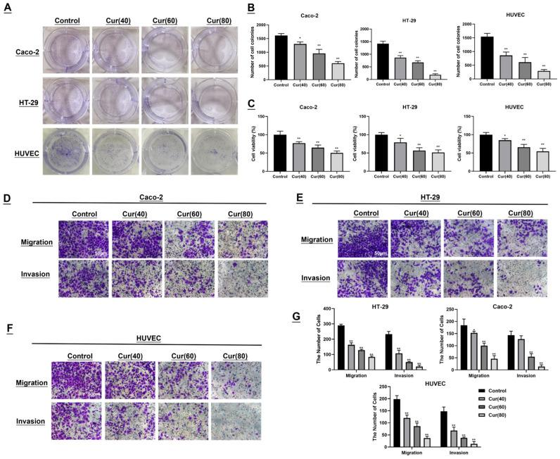 https://cdn.ncbi.nlm.nih.gov/pmc/blobs/3167/12112734/23dfdcebeacd/ijms-26-04899-g002.jpg